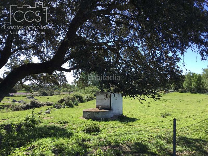Foto ea698a93-19e9-4be2-919c-36fe40cc24f2. Masia amb piscina a Pedroso (El)