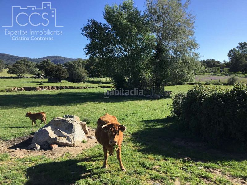 Foto ed3dfec2-57b7-4ab9-83d7-f79deb8818d6. Masia amb piscina a Pedroso (El)