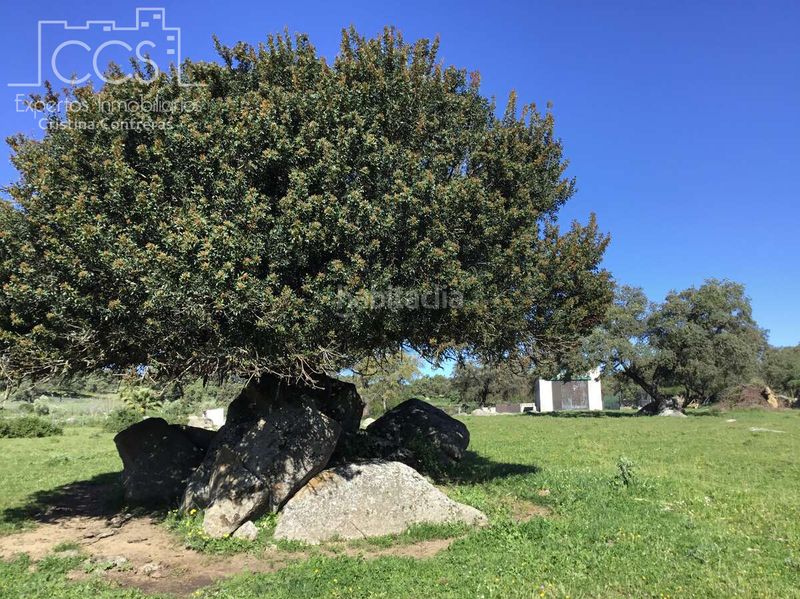 Foto f6180290-2eb5-4c5c-8c82-cbe0e6166ea9. Masia amb piscina a Pedroso (El)