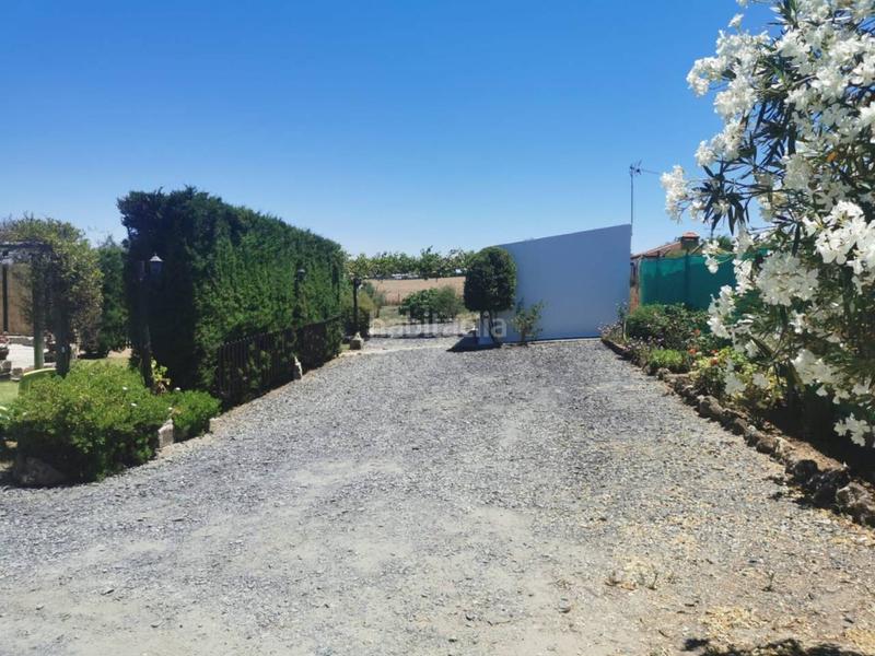 Foto f45bf945-080f-4780-8a60-fd8ed72f79c2. Casale in Gibraleón