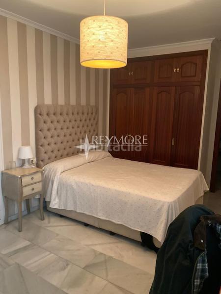 Foto 4d643287-92f4-4eae-97eb-442ab6741ce1. Casa zona ayuntamiento en Centro Córdoba