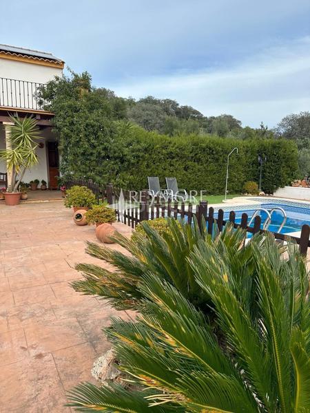 Foto 448db9fe-8097-4899-8052-929181823f18. Mas avec cheminée parking piscine dans Puebla de los Infantes (La)