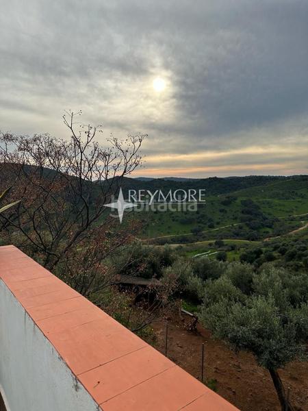 Foto 89a9023e-b427-4925-a624-243ad8149fad. Mas avec cheminée parking piscine dans Puebla de los Infantes (La)