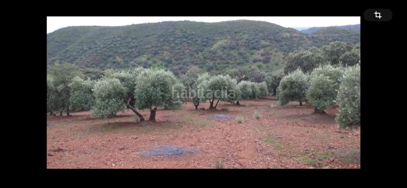 Foto d39b8381-67c0-42f9-9fc5-430ad6562697. Mas avec cheminée parking piscine dans Puebla de los Infantes (La)