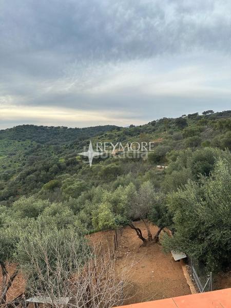 Foto e3d53ee4-7681-441b-9def-e8ca58768f34. Mas avec cheminée parking piscine dans Puebla de los Infantes (La)