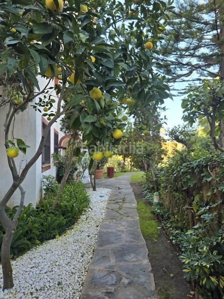 Foto 4d0b981a-d532-4c2d-bdf5-668091a73b0b. Affitto piccolo appartamento con parcheggio piscina in Marbella