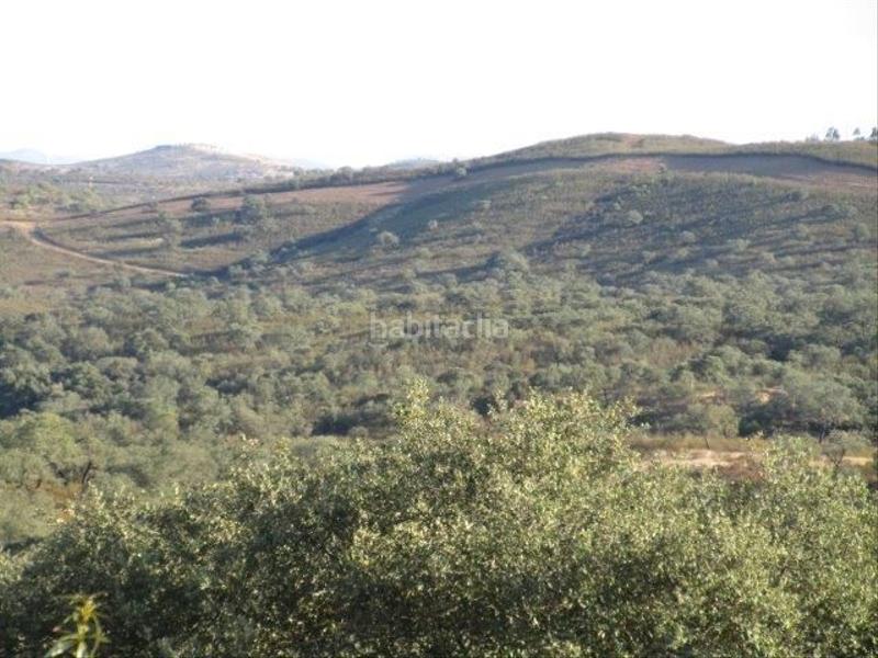 Foto e9e6a72c-f90c-4da7-9b1b-dcec0f2548a8. Propriété dans Molino de la Vega Huelva