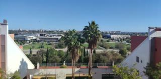 Rent Flat  Calle alcazaba. Piso de tres dormitorios, terraza, garaje y trastero