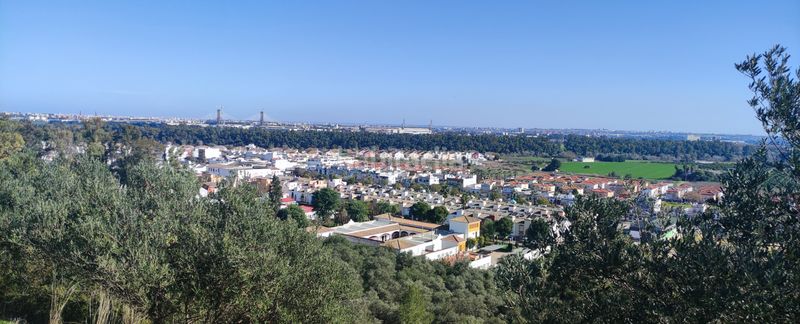 Foto 583fea27-5408-4ed0-b1b8-56c2a45c43e2. Lloguer loft amb aparcament a Gelves