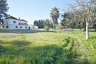 Masia a Parque Atlántico - Ronda este. Descubre tu refugio ideal en la barca de la florida!