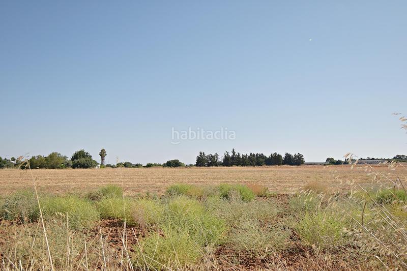 Foto 17c69d89-218f-4575-ac5c-41cf39a4dff8. Terreno residenziale in El Retiro - La Vid Jerez de la Frontera
