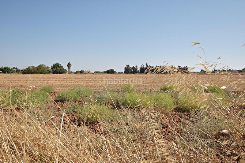 Foto 5c2f6c72-112b-48d2-87cc-6997e9508c35. Terreno residenziale in El Retiro - La Vid Jerez de la Frontera