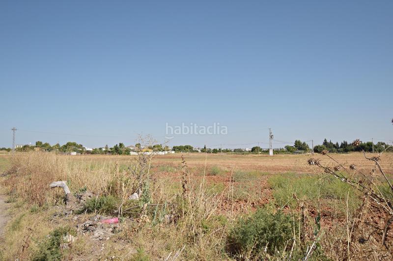 Foto 66385145-7941-4d29-8373-a51c52a8916d. Terreno residenziale in El Retiro - La Vid Jerez de la Frontera