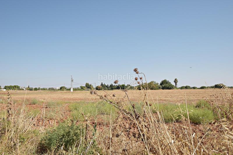 Foto fa937c86-c88c-4fe3-9d8b-f8eb894a437d. Terreno residenziale in El Retiro - La Vid Jerez de la Frontera