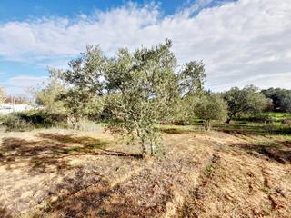 Finca rústica a Parque Atlántico - Ronda este
