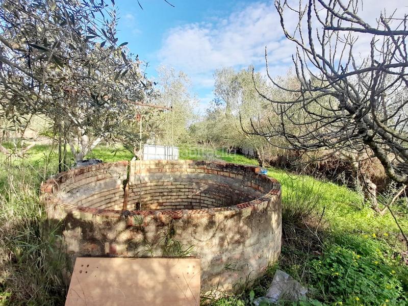 Foto fcc34fca-3dce-4387-b401-6db7e17dc2c6. Finca rústica en Parque Atlántico - Ronda este Jerez de la Frontera