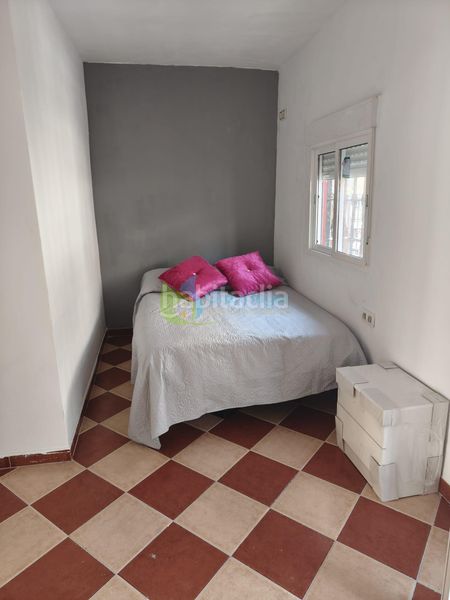 Foto a16989a7-ddb7-49c5-b69e-479900bb8b10. Pis a Palmete Sevilla