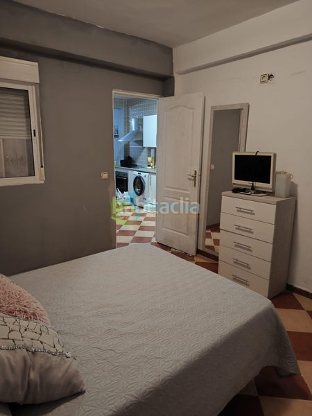 Foto c50a807e-072f-4d67-9c10-6d3cf85d16f8. Pis a Palmete Sevilla