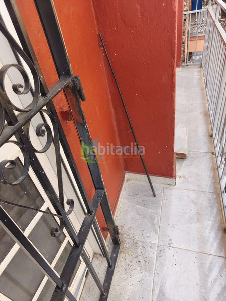 Foto fdaedd9b-ab60-4390-b319-ea1851874563. Pis a Palmete Sevilla