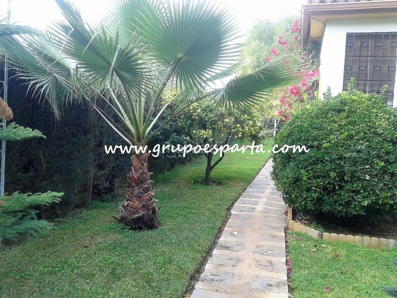Foto 6d7b60ee-ea0c-4e11-9ec8-7acb9b7e5cb8. Alquiler chalet  independiente en alquiler semi amueblado con buhardilla y piscina propia. gran parcela. en Espartinas