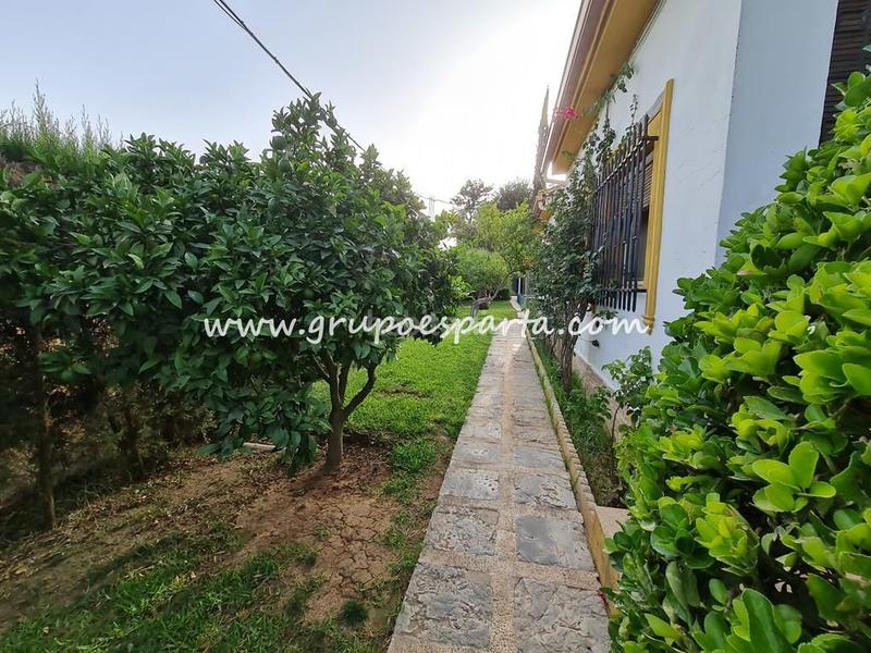 Foto afd69837-97e0-4661-a2cf-8f0e9b544d3a. Alquiler chalet  independiente en alquiler semi amueblado con buhardilla y piscina propia. gran parcela. en Espartinas