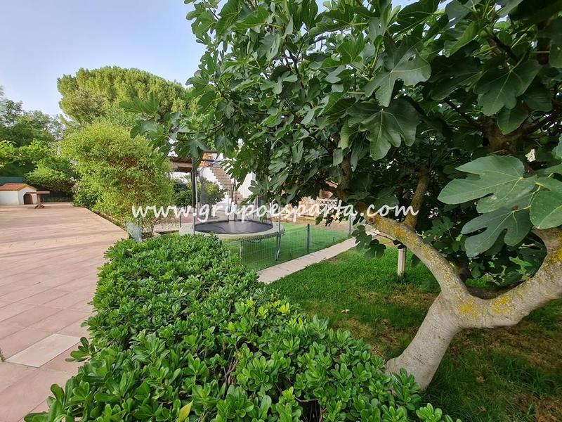 Foto d9454242-2bf6-48fe-807f-40b2809d79a3. Alquiler chalet  independiente en alquiler semi amueblado con buhardilla y piscina propia. gran parcela. en Espartinas