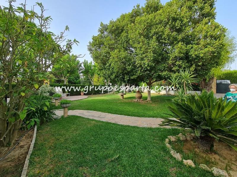 Foto f2096c58-1e62-4f8d-883b-297dbd6410ee. Alquiler chalet  independiente en alquiler semi amueblado con buhardilla y piscina propia. gran parcela. en Espartinas