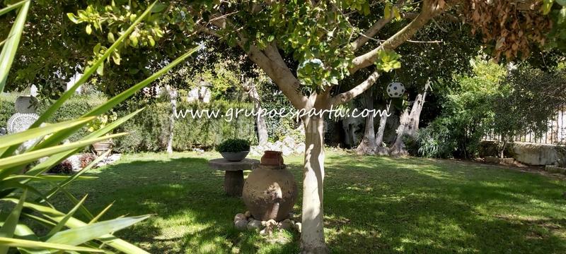 Foto 0aa33be8-e974-4e92-9c31-718e6952f7c0. Lloguer xalet amb aparcament piscina a Loreto Espartinas