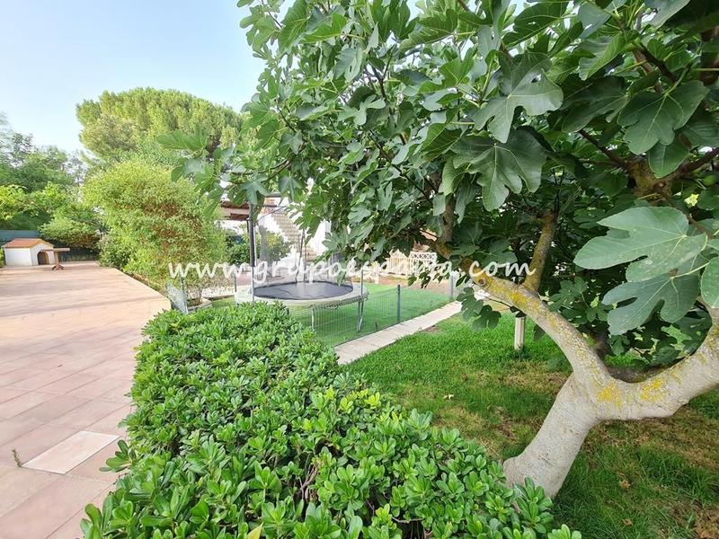 Foto 1be2e695-27f9-4139-8b5d-99be1604897b. Lloguer xalet amb aparcament piscina a Loreto Espartinas