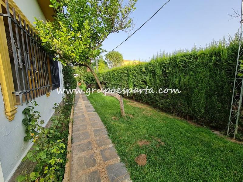 Foto 44ef8781-d849-4b94-8aba-779b4d3860a6. Lloguer xalet amb aparcament piscina a Loreto Espartinas