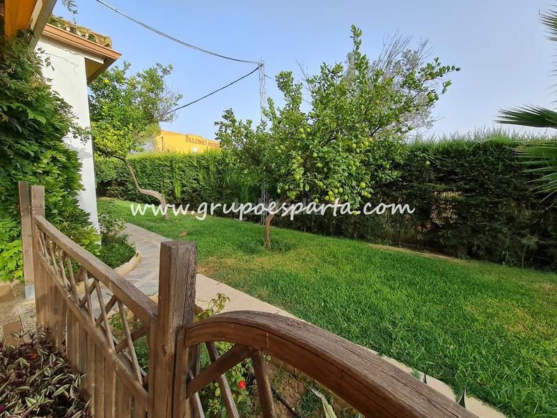 Foto da919e79-1dea-4ade-a3d3-57042dc1c570. Lloguer xalet amb aparcament piscina a Loreto Espartinas