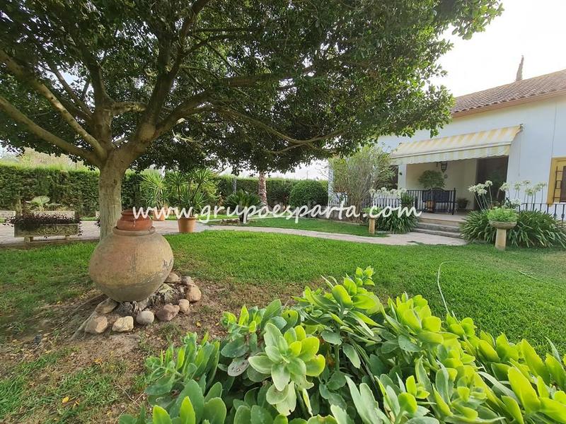 Foto faa67503-e4f8-404c-a7ba-c35d65323d87. Location chalet avec parking piscine dans Loreto Espartinas