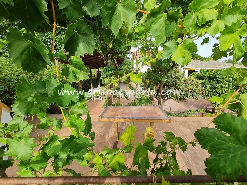 Foto 09499d0d-c8cf-4b84-84a1-34ecddef66b3. Miete chalet mit parking pool in Loreto Espartinas