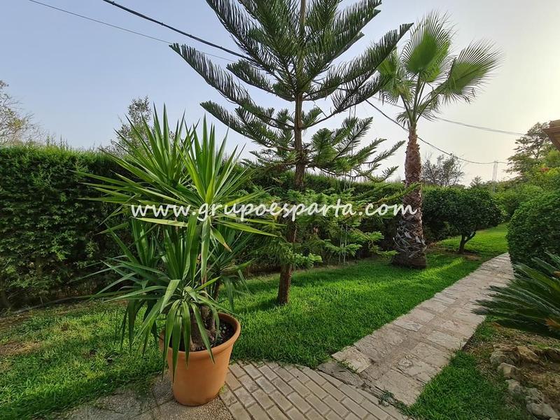 Foto 1eb131a0-a022-47a7-adb0-34807c4b871b. Miete chalet mit parking pool in Loreto Espartinas