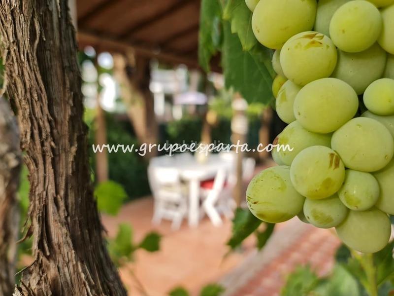 Foto 40360df2-cf7f-4c16-b284-70d03de6c9db. Miete chalet mit parking pool in Loreto Espartinas