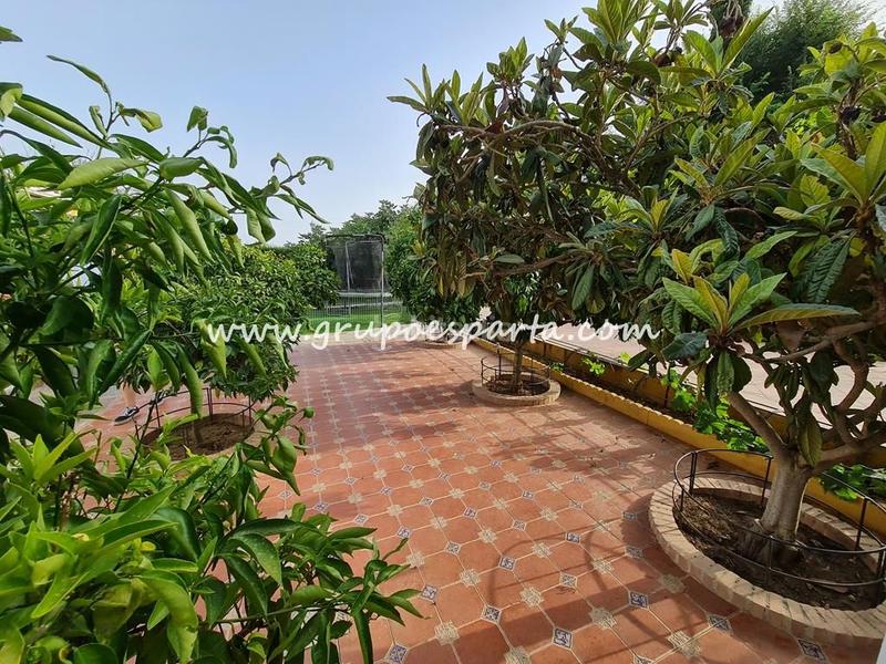 Foto 6cab55db-b7ae-4ee1-b83b-5de25d2da579. Miete chalet mit parking pool in Loreto Espartinas