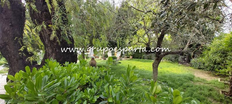 Foto 7ee24119-7204-4123-b293-e4d9149de35d. Miete chalet mit parking pool in Loreto Espartinas