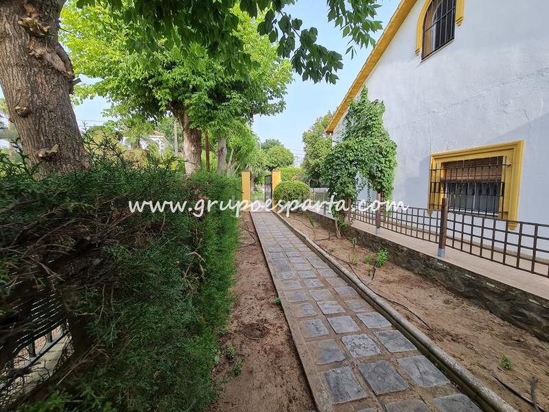 Foto aad71188-e386-493e-aa52-1351b1f01da3. Miete chalet mit parking pool in Loreto Espartinas