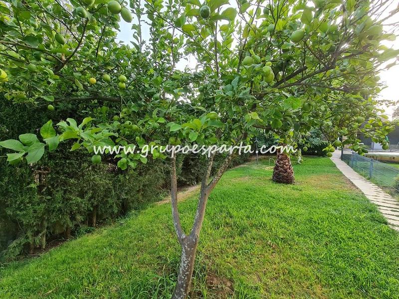 Foto b4543e19-8bbf-40de-8056-72ed44545d41. Miete chalet mit parking pool in Loreto Espartinas