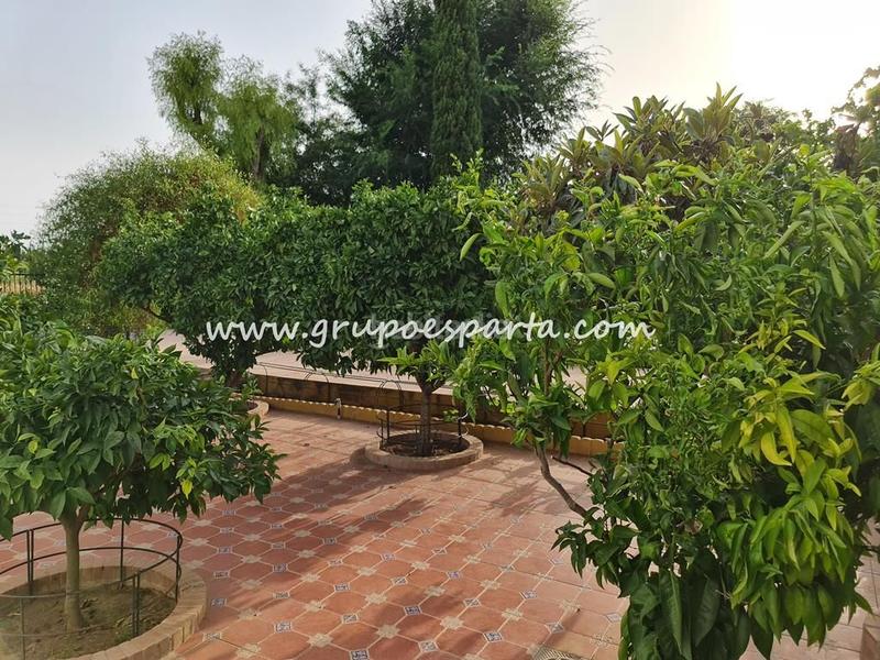 Foto bd3c51d7-cb0d-43d7-a475-d07c59f9972a. Miete chalet mit parking pool in Loreto Espartinas