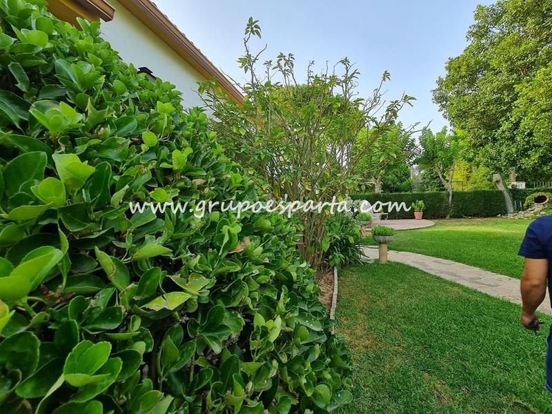 Foto ce89a6f8-f7e5-4e38-a4c8-10fc17ac5144. Miete chalet mit parking pool in Loreto Espartinas