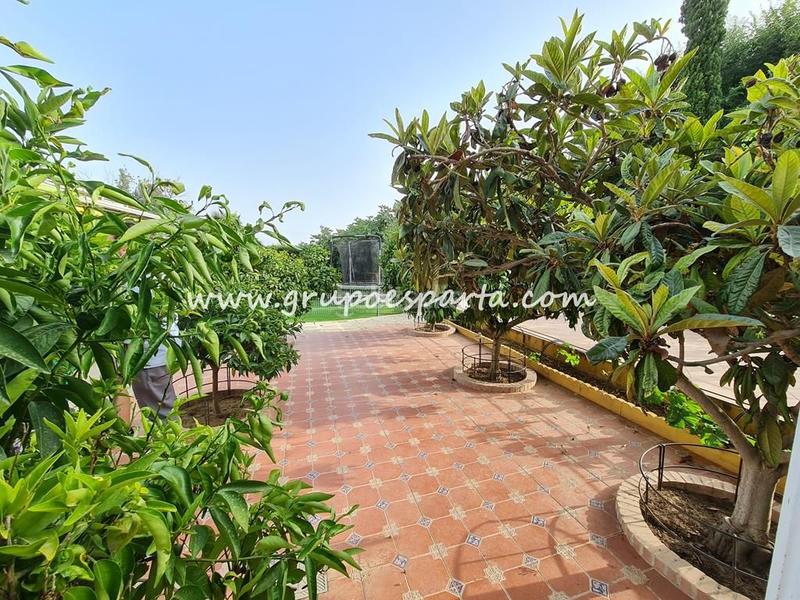 Foto 8c136631-adf6-49d2-aebe-fd4465e2b052. Rent chalet with parking pool in Loreto Espartinas