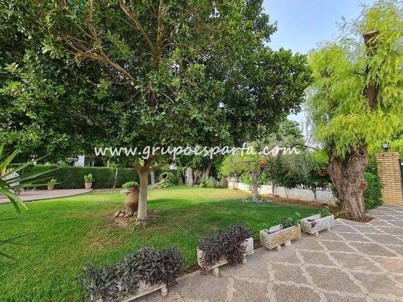 Foto e66a89ff-5613-4145-8e50-73141f5b8882. Rent chalet with parking pool in Loreto Espartinas