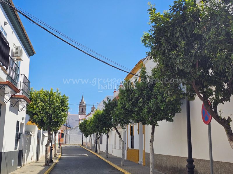 Foto e87be827-0e1f-45ad-b0bc-f271af881bf1. Casa adossada a lopaz 20 a Umbrete