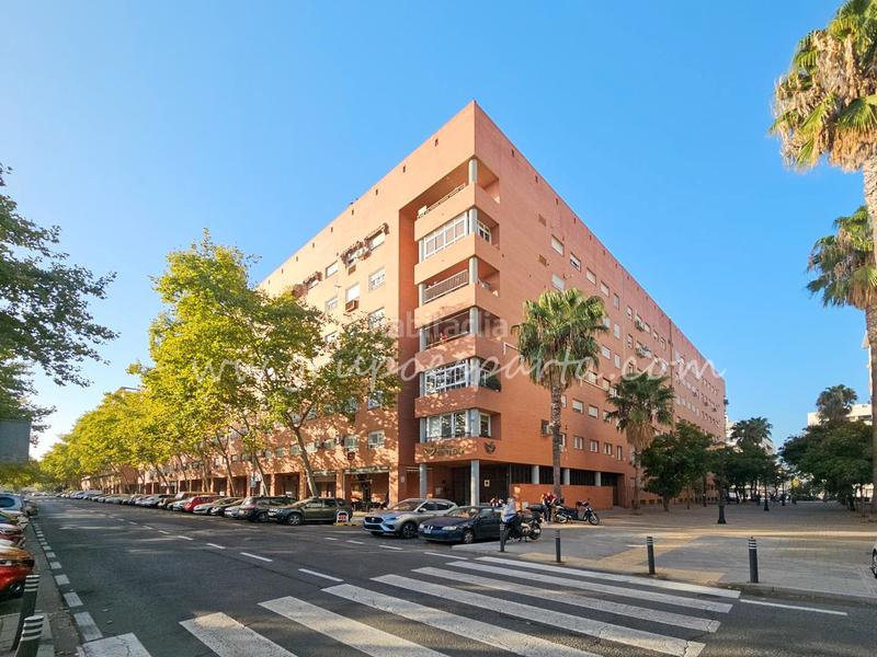 Foto 1076159d-8cff-4d47-85c3-22a50324c202. Appartamento in calle flor de tomillo 8 in colores - entreparques Sevilla