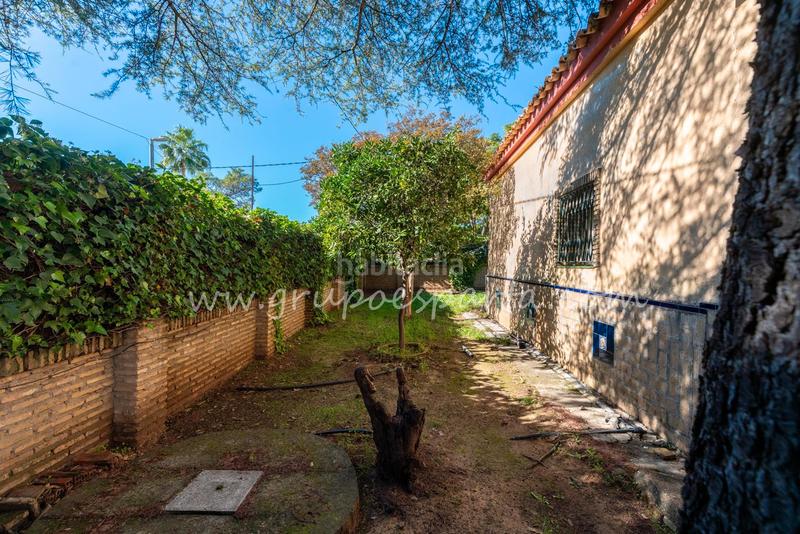 Foto 2ff5c372-b34e-4145-8d26-3334b2a6ed93. Xalet a montaraz 28 a Loreto Espartinas