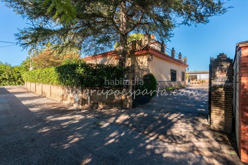 Foto 3d7c131e-e0aa-4f28-8b04-d59deb7b2238. Xalet a montaraz 28 a Loreto Espartinas