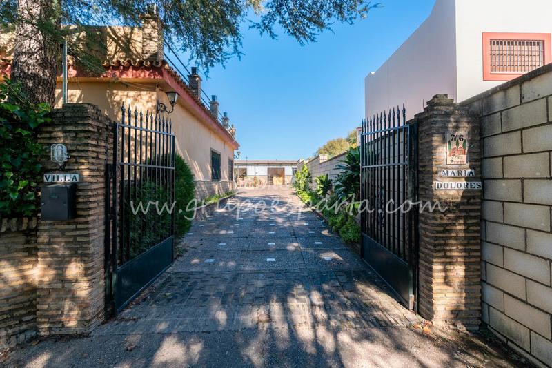 Foto 4ce3d11f-2936-4f19-8cb6-a6a3e1d9497e. Xalet a montaraz 28 a Loreto Espartinas