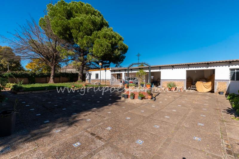 Foto b0d78c84-2c03-47f3-88b8-8337e140a655. Xalet a montaraz 28 a Loreto Espartinas