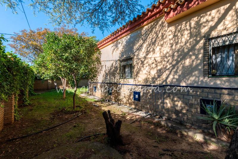 Foto d1bbddba-eabb-48fe-a5bc-99ddbb49395c. Xalet a montaraz 28 a Loreto Espartinas